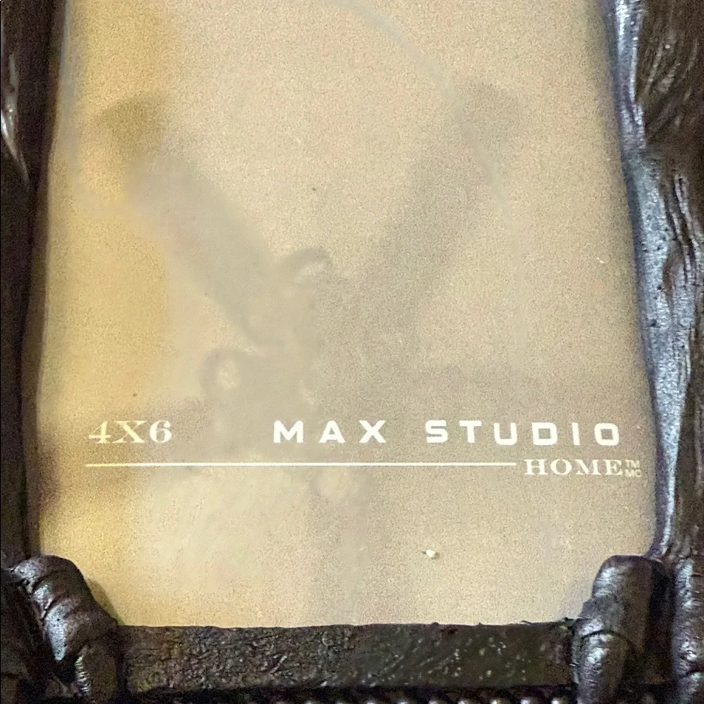 Max Studio Midnight Black Gargoyle Frame Halloween